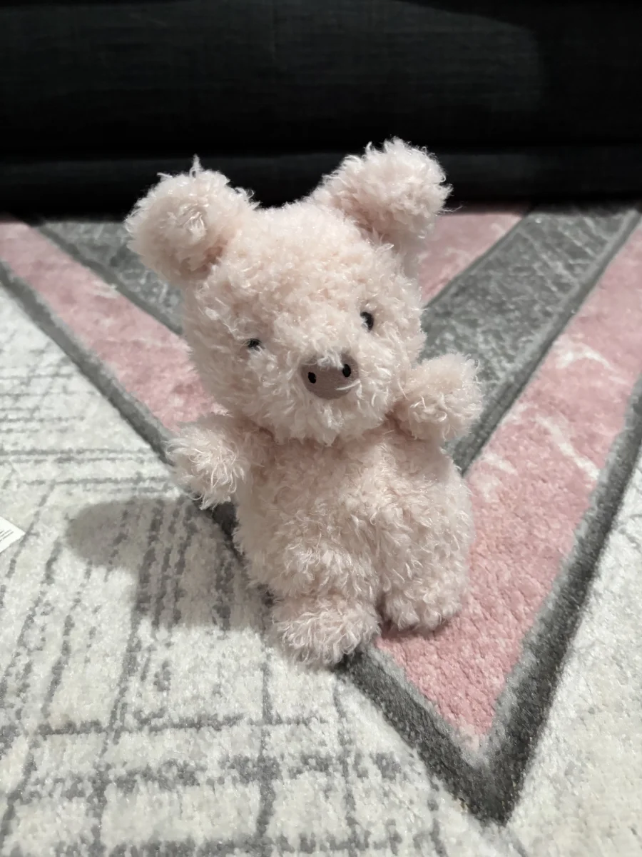 Front - Little Pig photo by Liv_xx12
