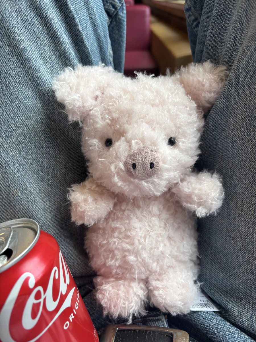 Front - Little Pig photo by monki123
