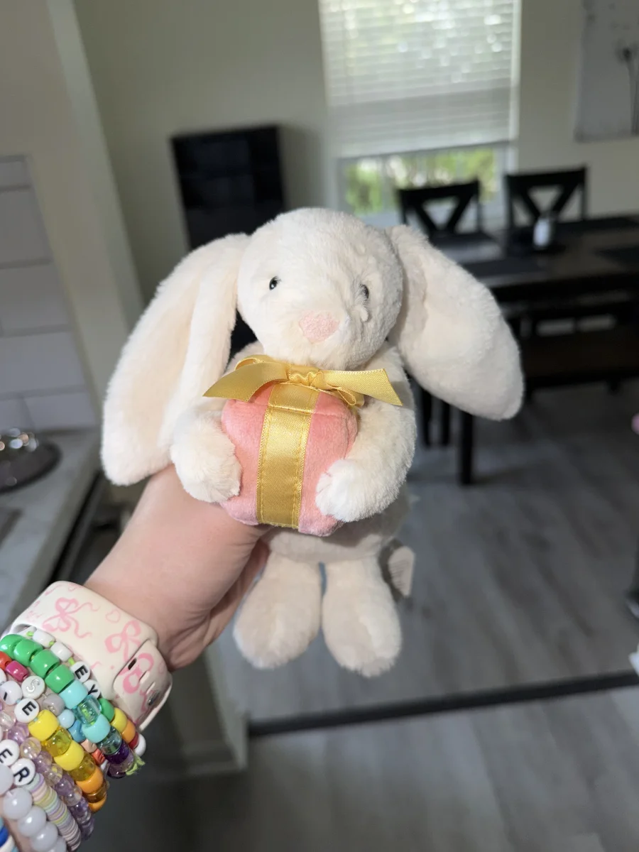 Front - Bashful Bunny with Present photo by alinsey
