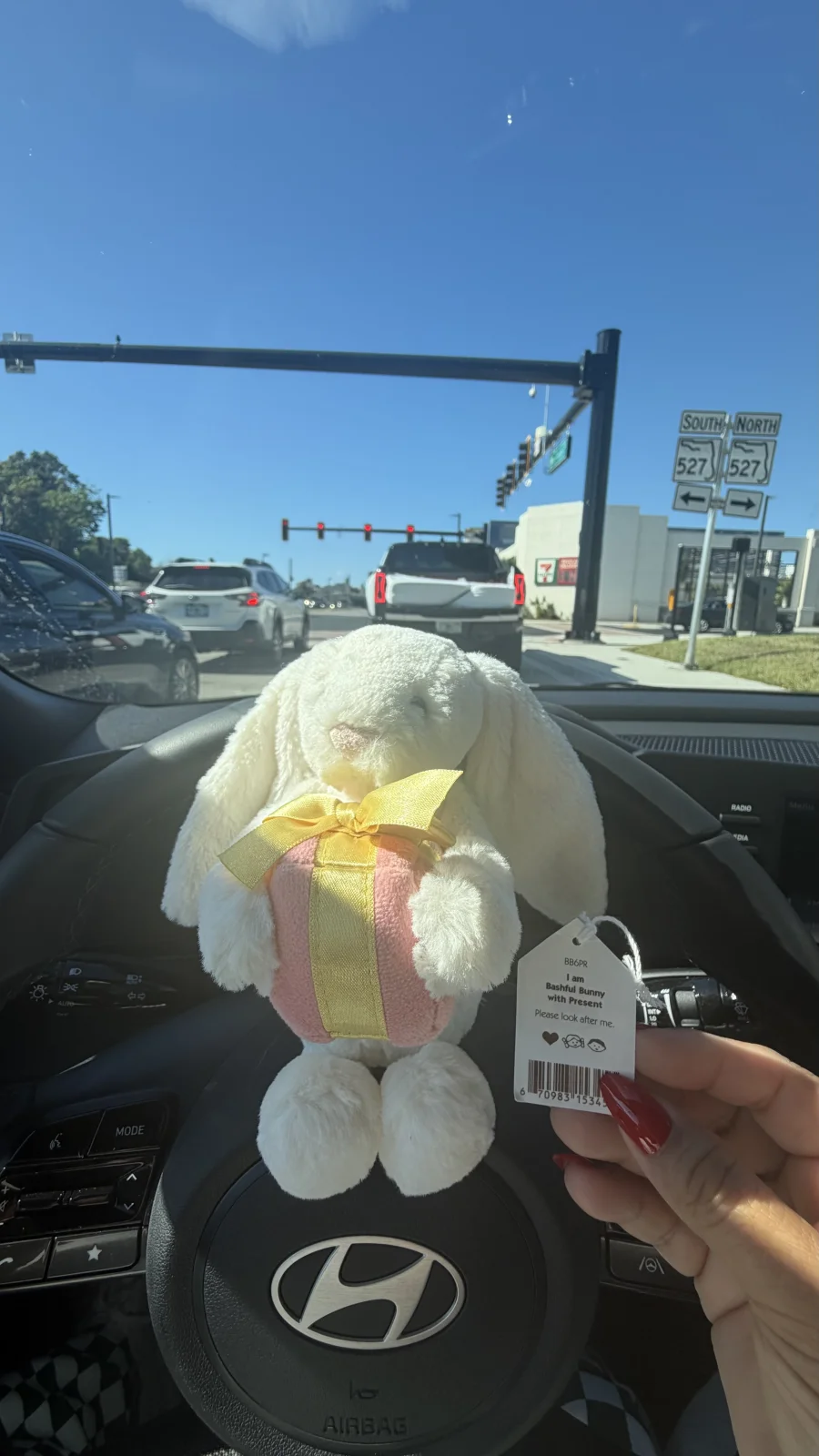 Front - Bashful Bunny with Present photo by bronzieandthejellies