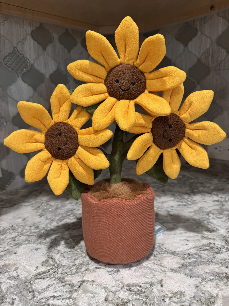 Front - Amuseables Sunflower photo by SnowLeopard821