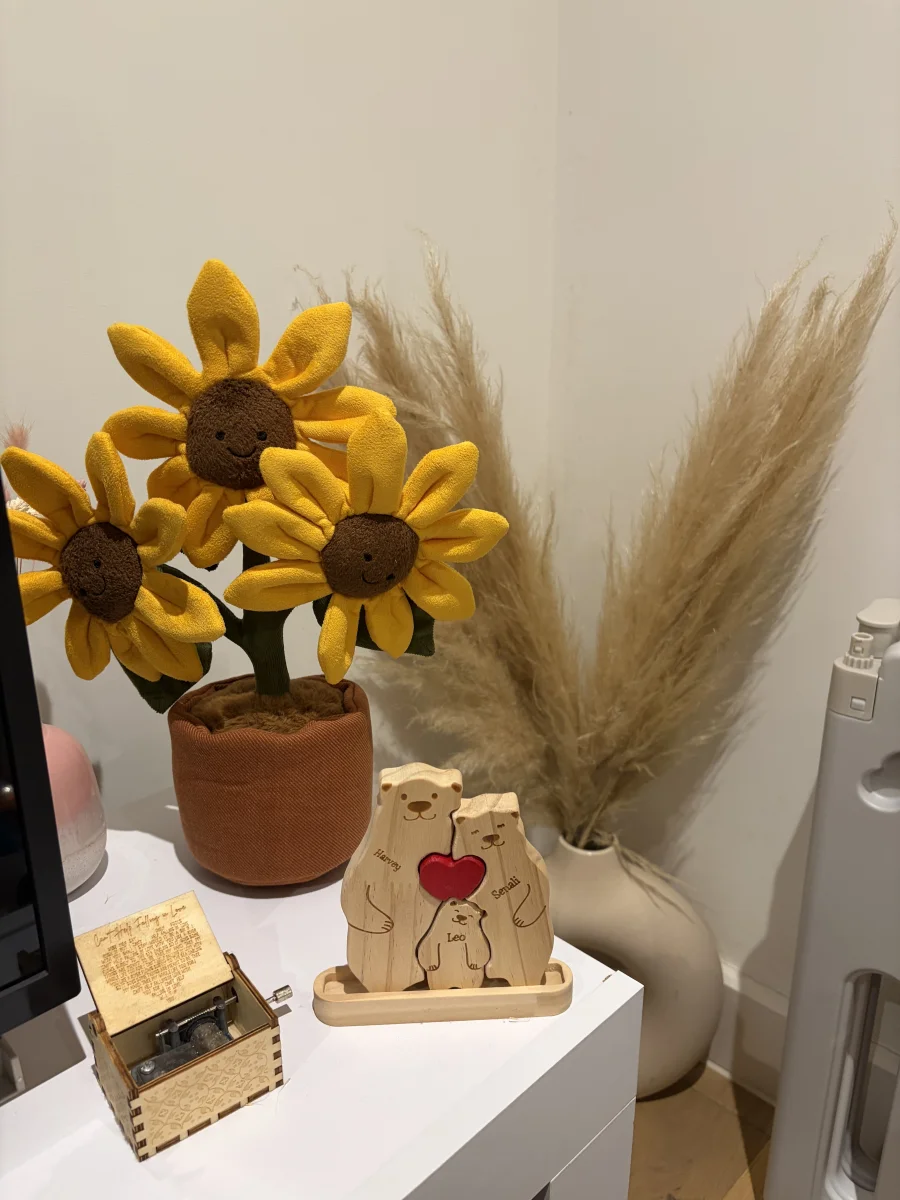 Front - Amuseables Sunflower photo by Seni113