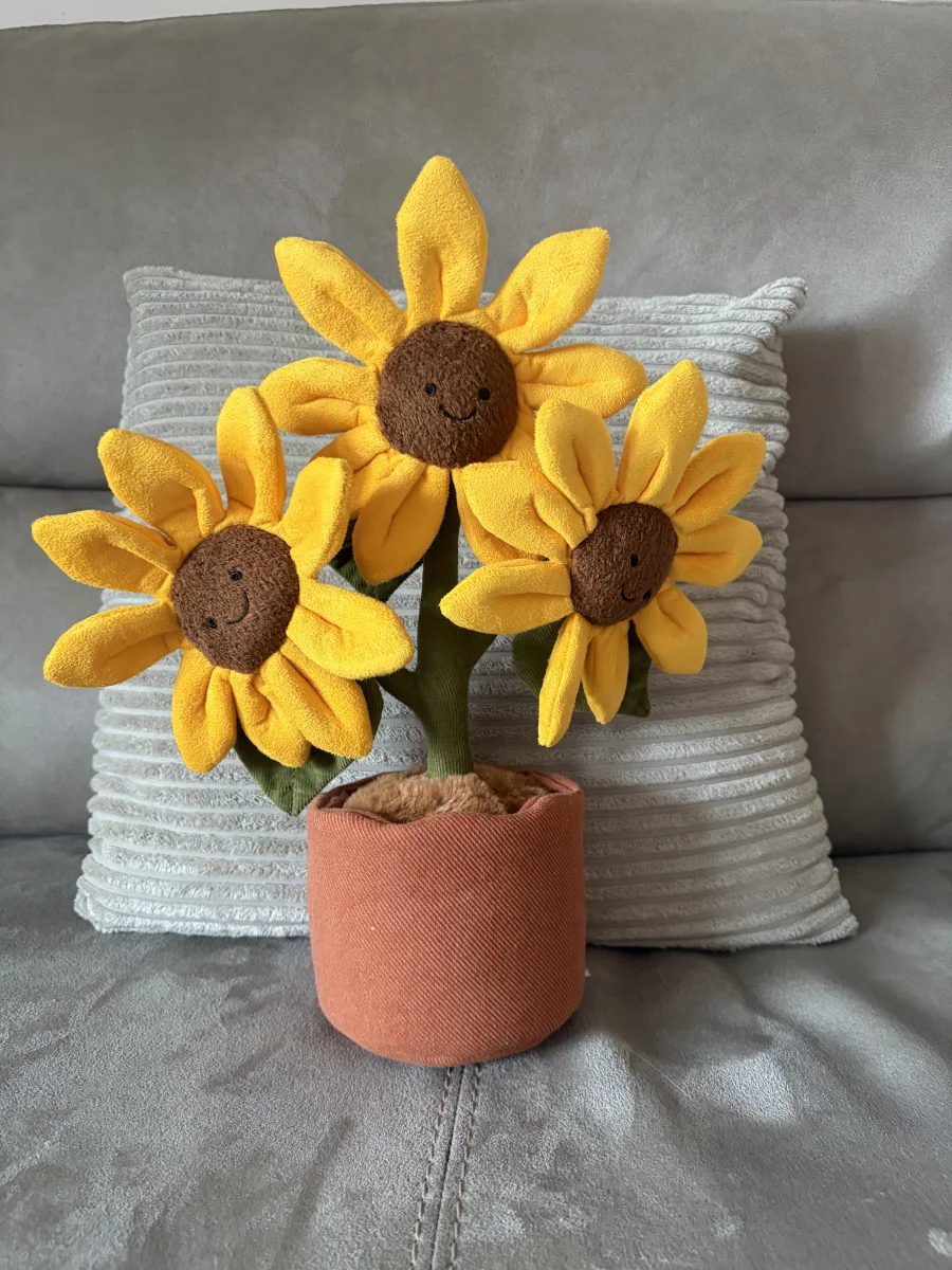 Front - Amuseables Sunflower photo by Seni113