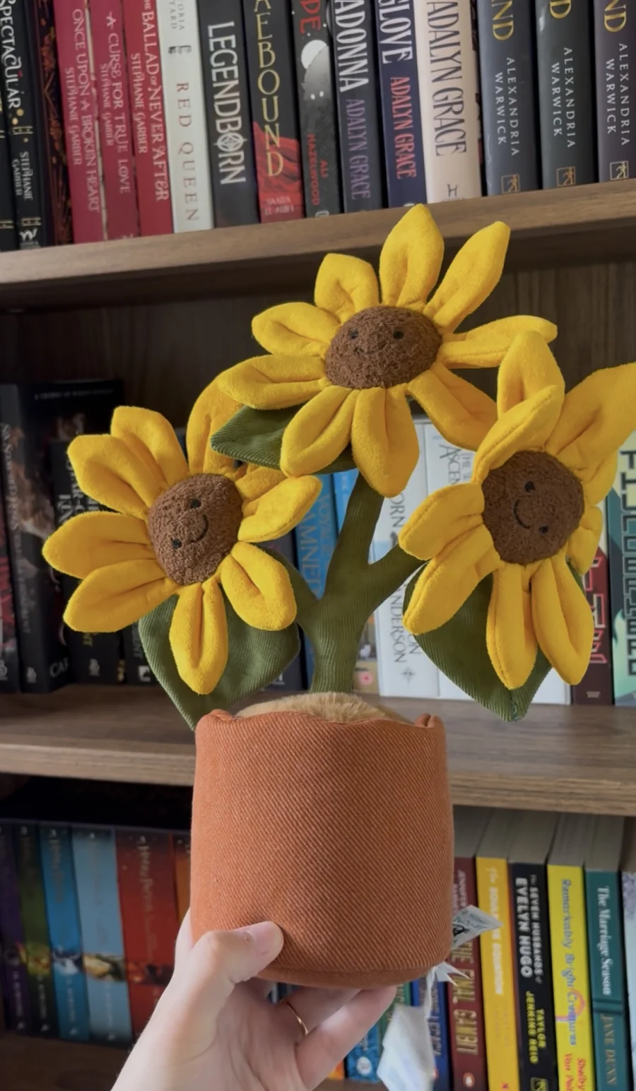 Front - Amuseables Sunflower photo by MerlinNessieRaven