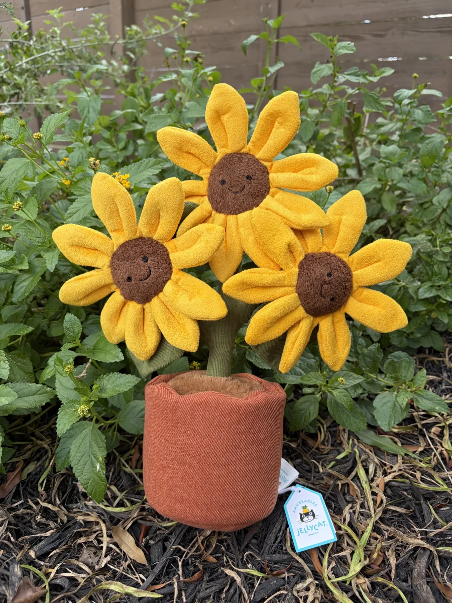 Front - Amuseables Sunflower photo by AmberrGolden