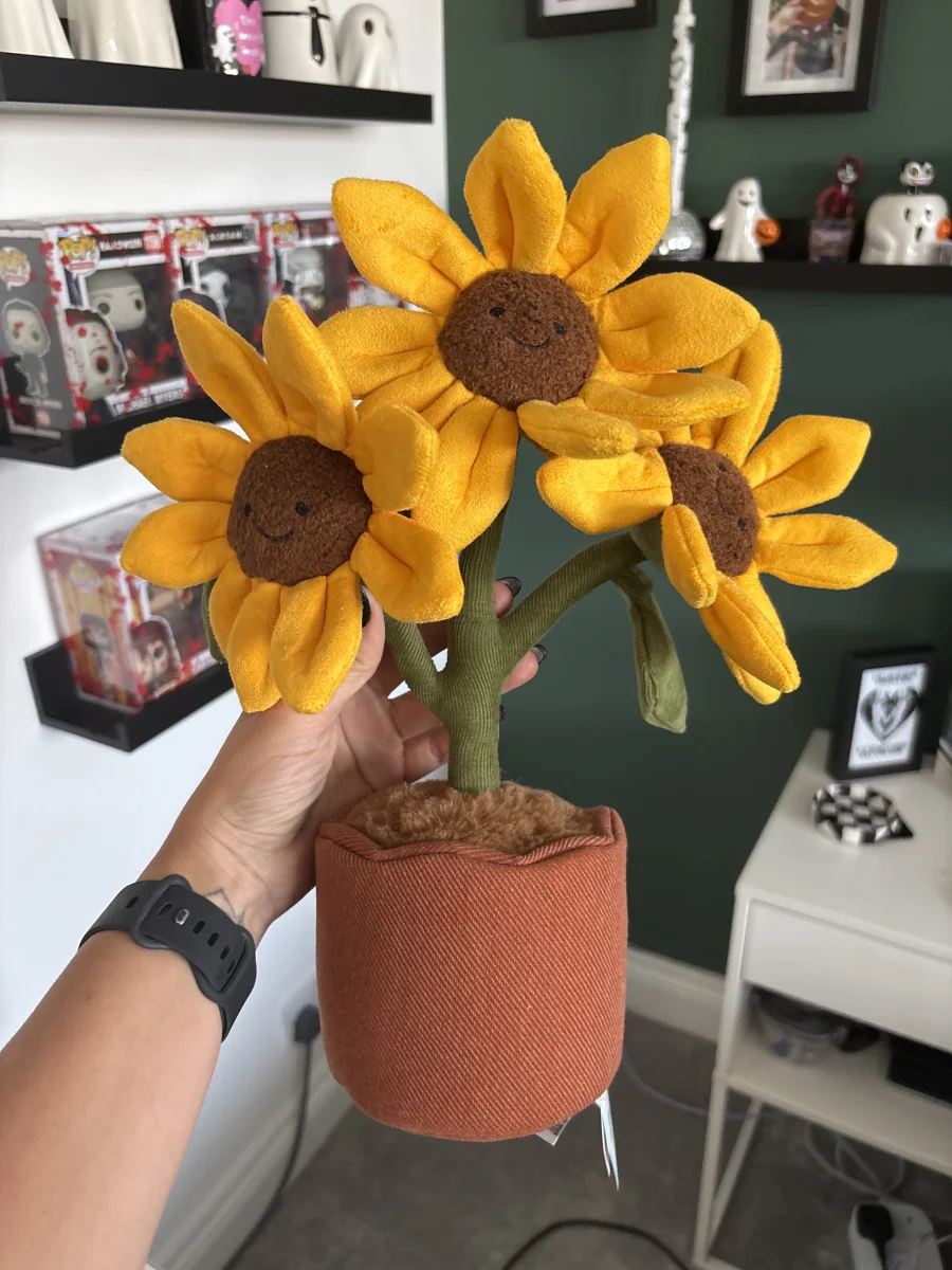 Front - Amuseables Sunflower photo by Spgard