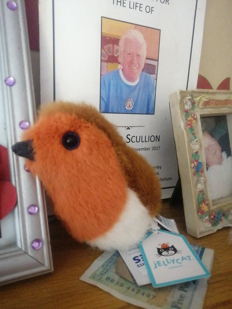 Front - Birdling Robin photo by Beckylovespatch1995