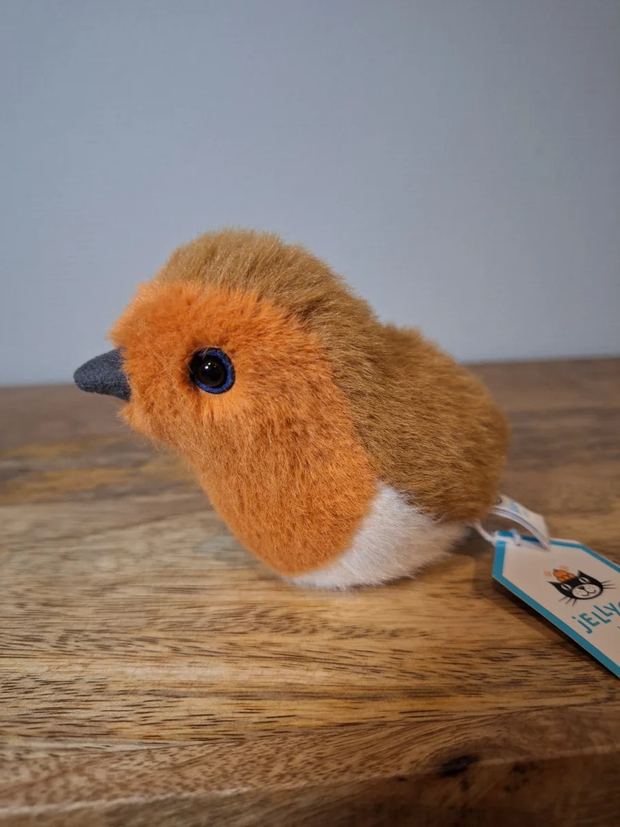 Front - Birdling Robin photo by Sofie