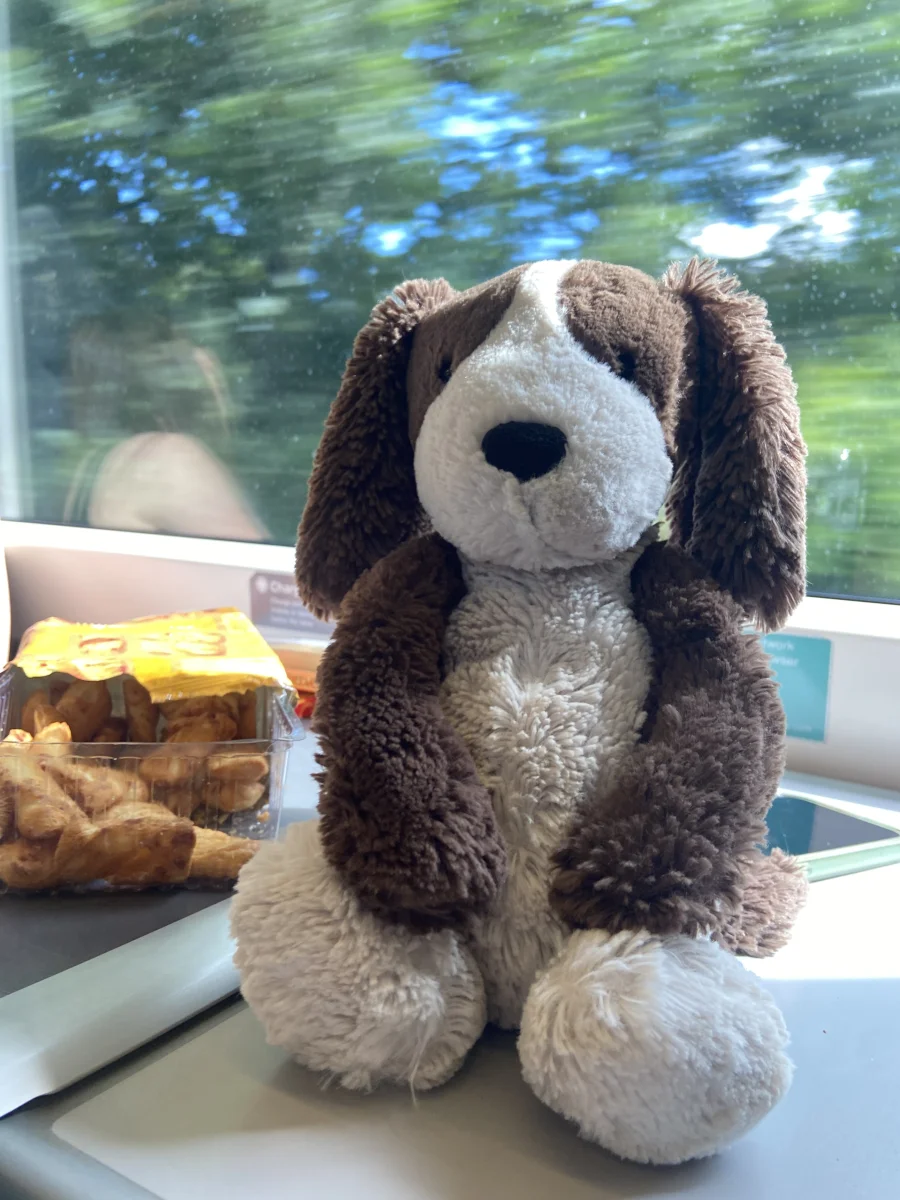 Front - Bashful Fudge Puppy - Medium photo by Jessica2014
