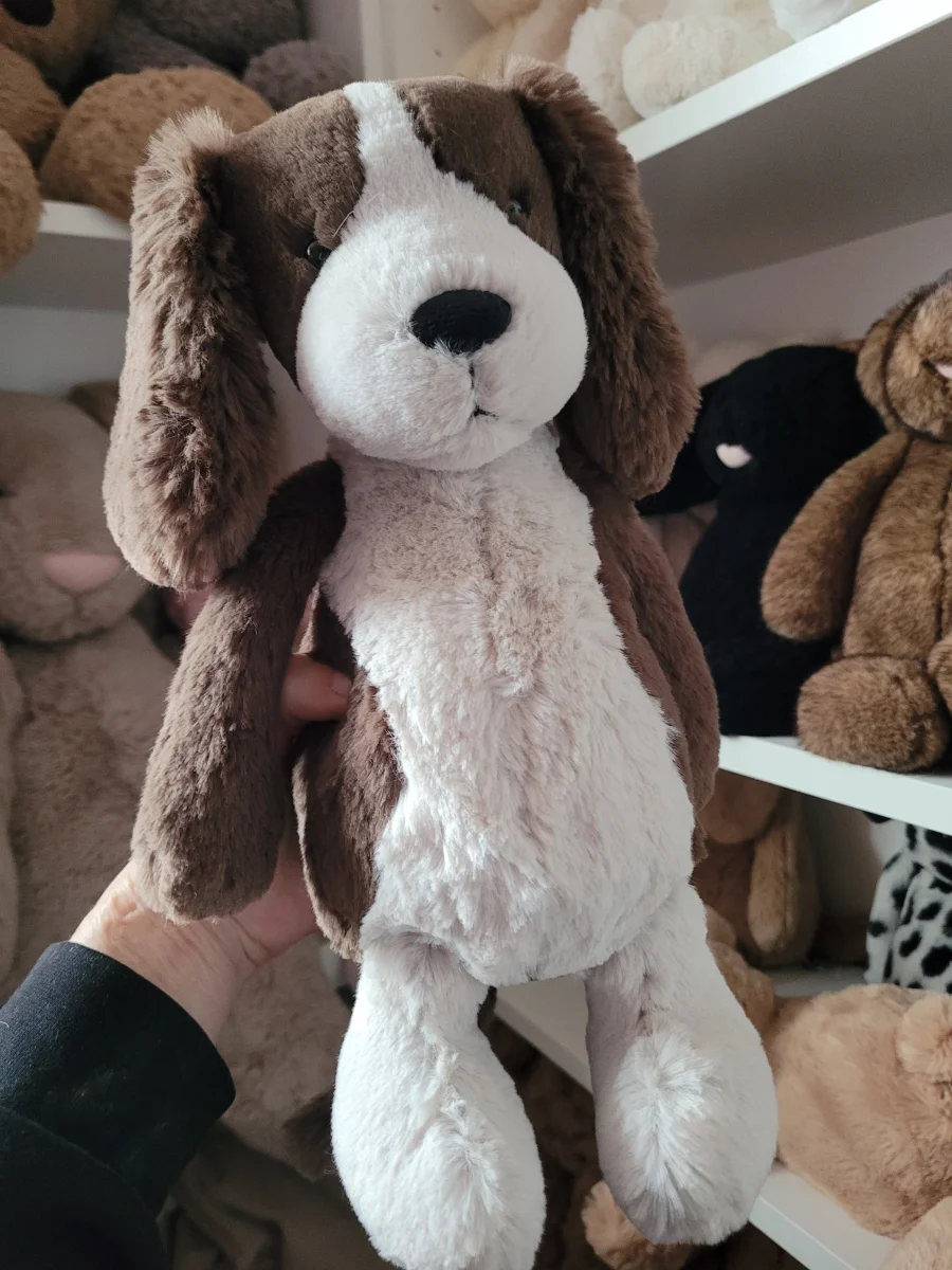 Front - Bashful Fudge Puppy - Medium photo by Kitsfae