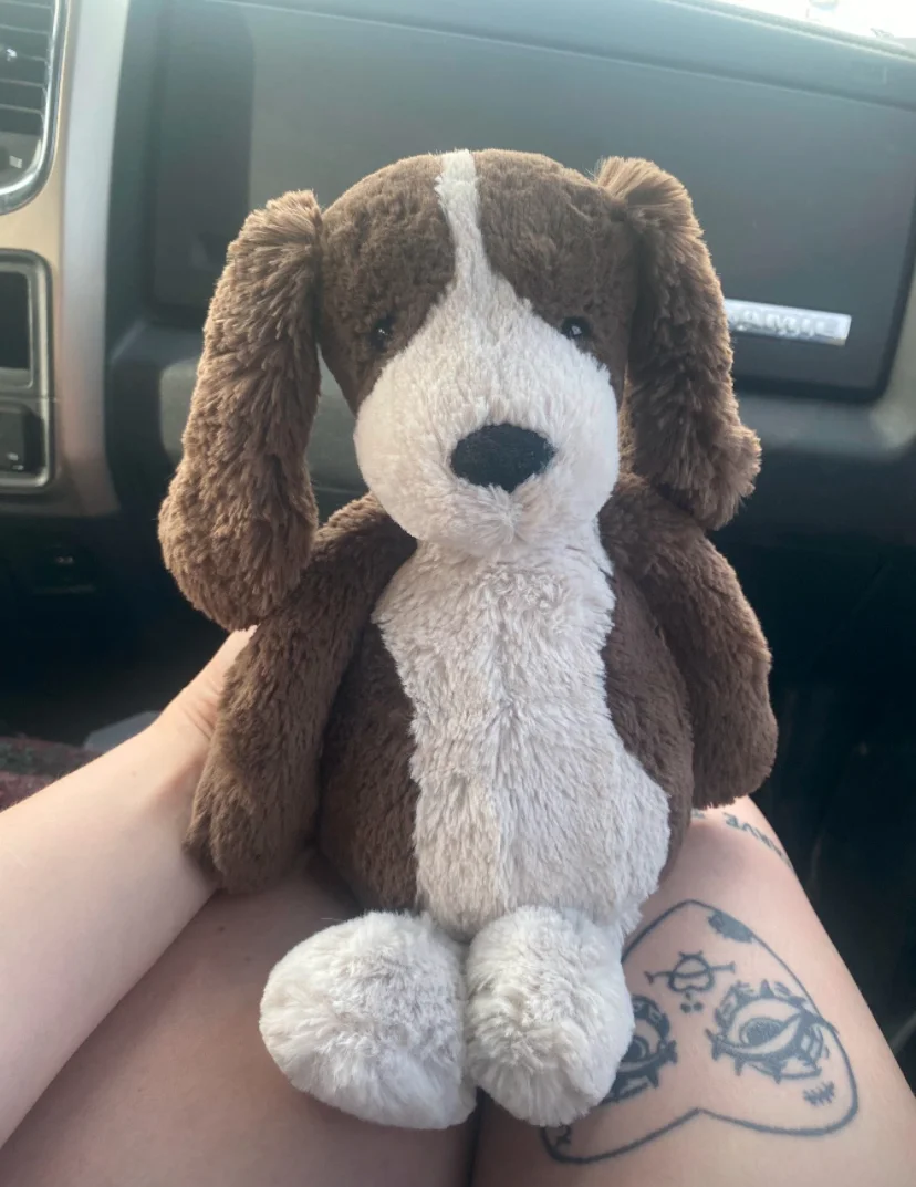 Front - Bashful Fudge Puppy - Medium photo by grayce