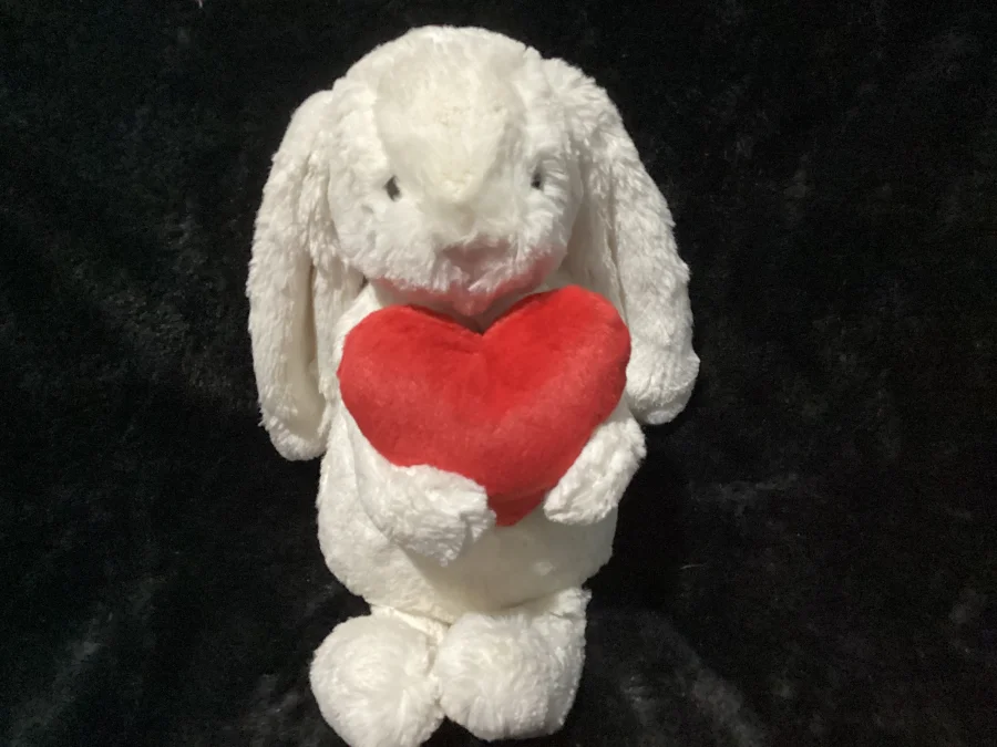 Front - Bashful Red Love Heart Bunny - Medium photo by Jellybunnys1984