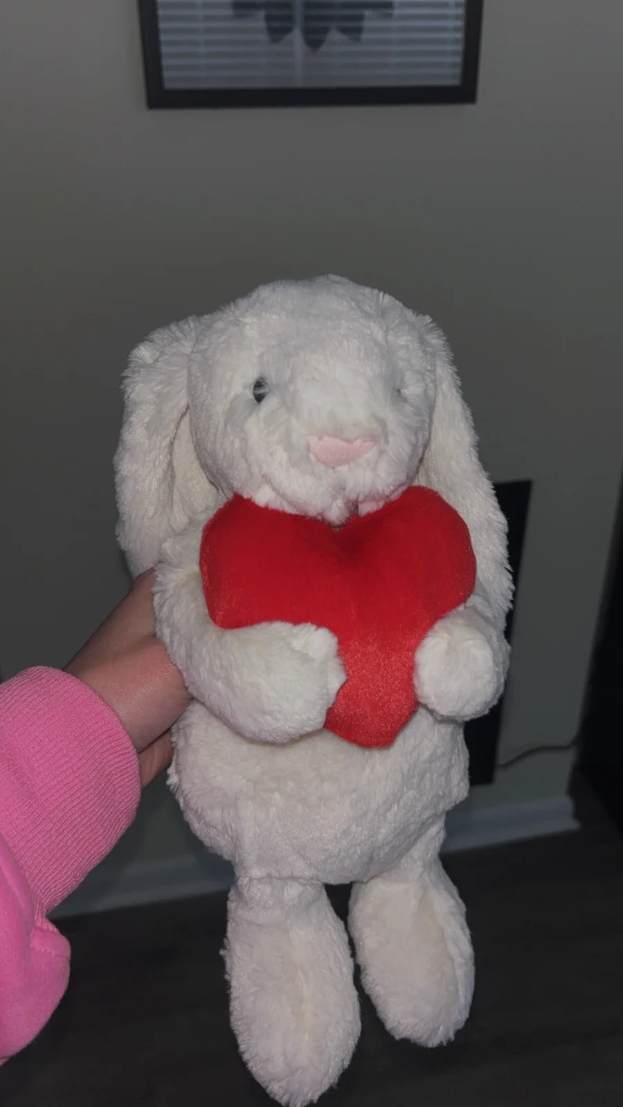 Front - Bashful Red Love Heart Bunny - Medium photo by alinsey