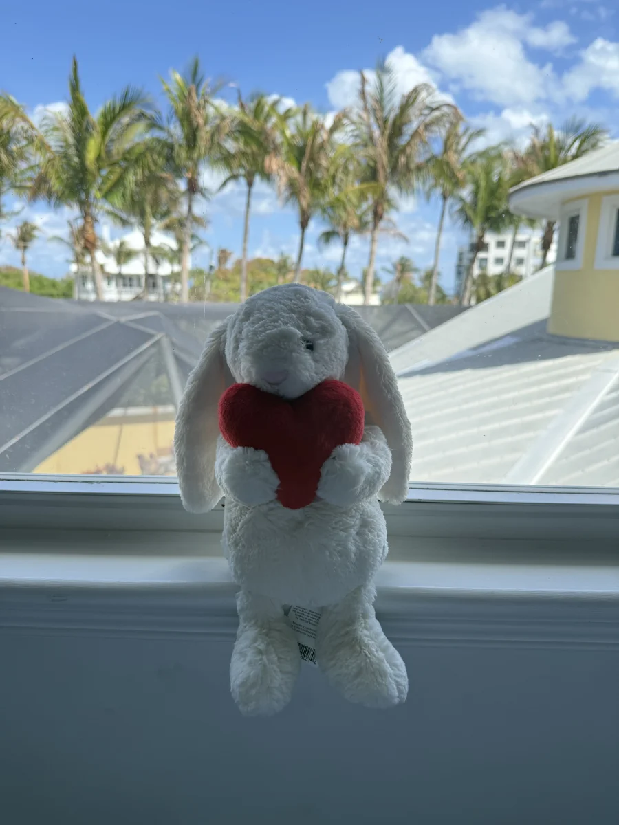 Front - Bashful Red Love Heart Bunny - Medium photo by jules_jelly_cat