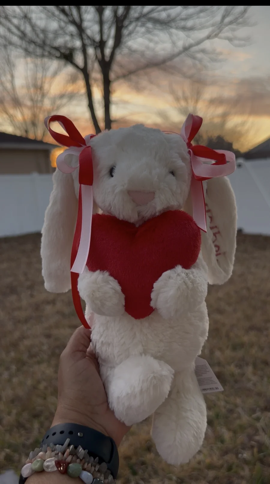 Front - Bashful Red Love Heart Bunny - Medium photo by bronzieandthejellies