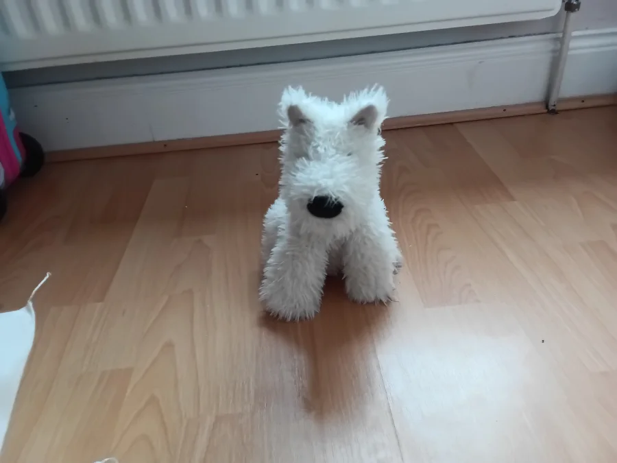 Front - Munro Scottie Dog photo by MiaD123