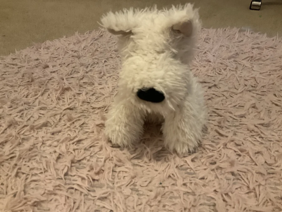 Front - Munro Scottie Dog photo by Panda_Jellycat