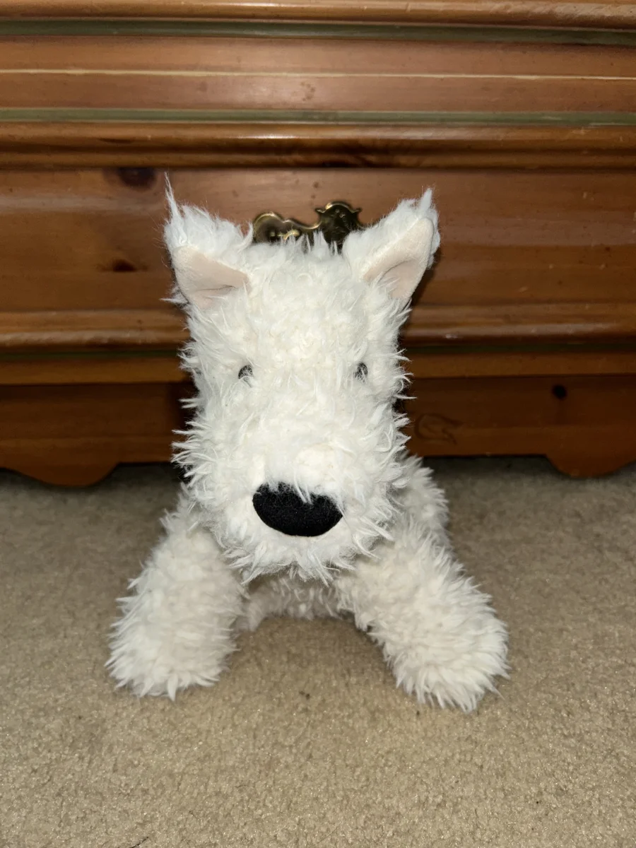 Front - Munro Scottie Dog photo by averyd2003