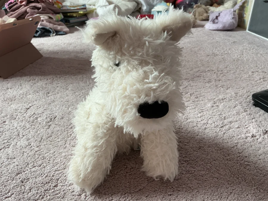 Front - Munro Scottie Dog photo by Asdqueen5678