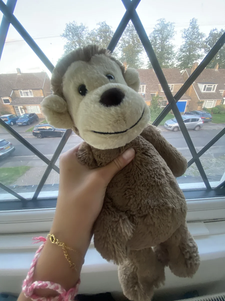 Front - Bashful Monkey - Medium photo by Lilybak2r2014