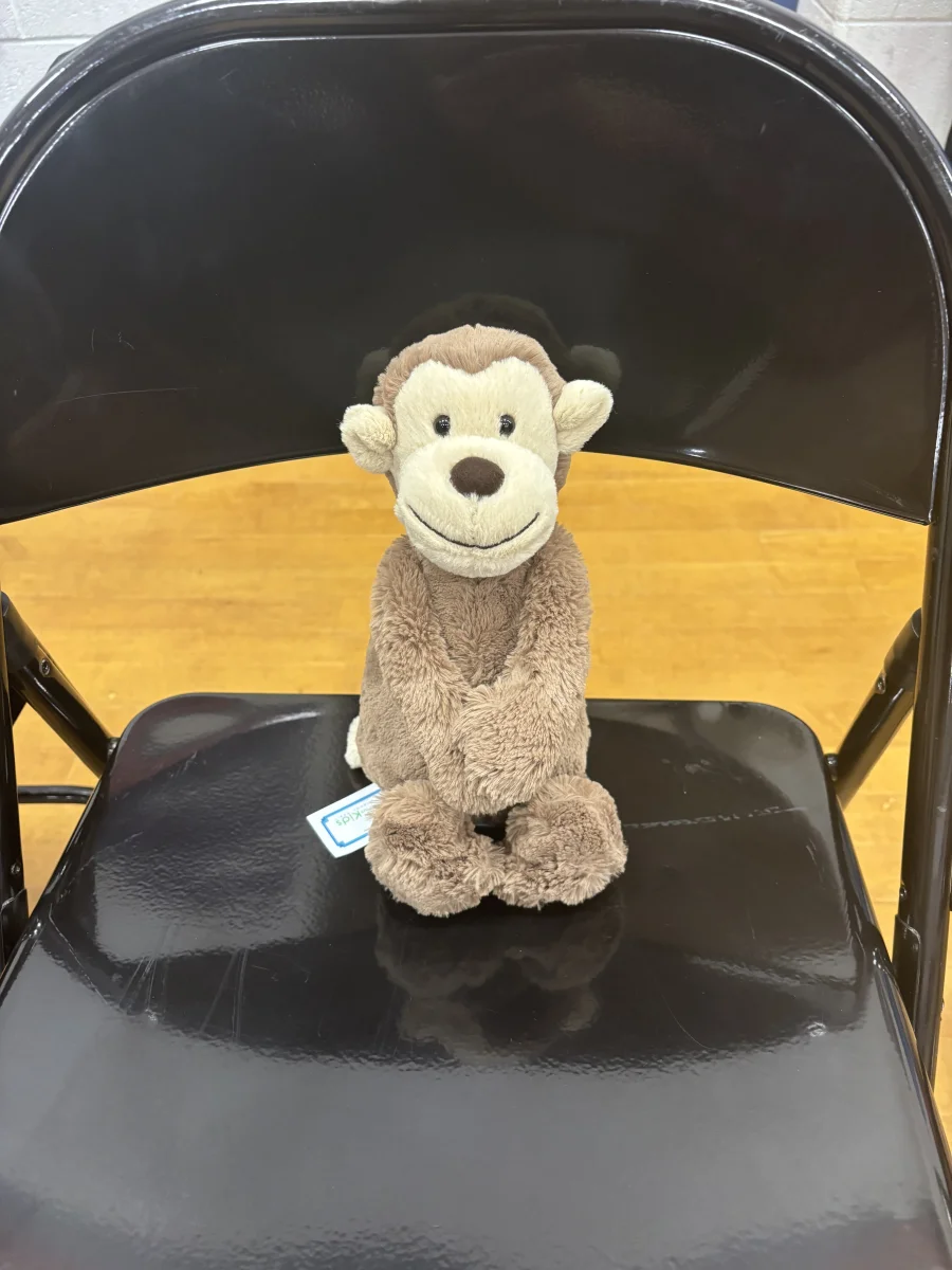 Front - Bashful Monkey - Medium photo by reareaboo