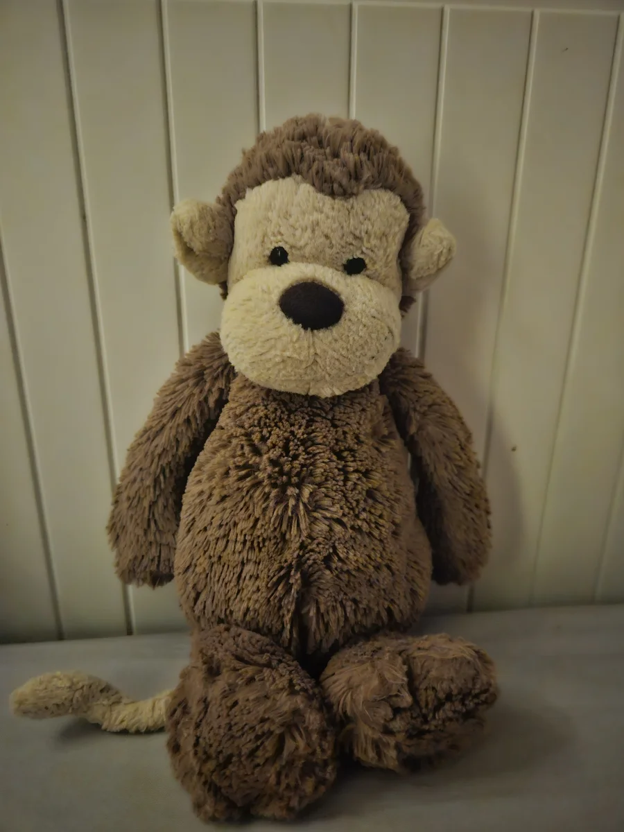 Front - Bashful Monkey - Medium photo by Arnacat