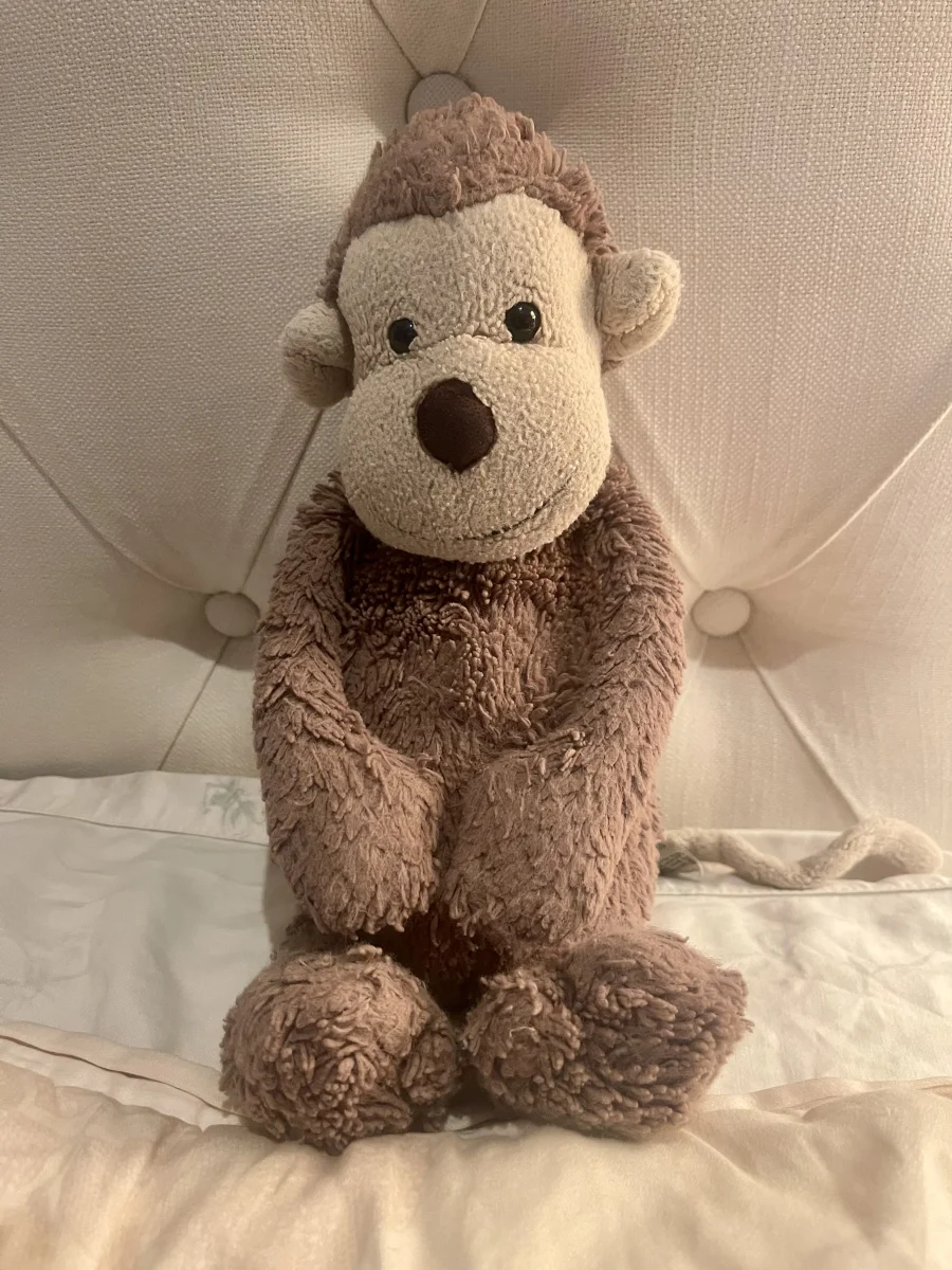 Lifestyle - Bashful Monkey - Medium photo by Jellycatqueen67