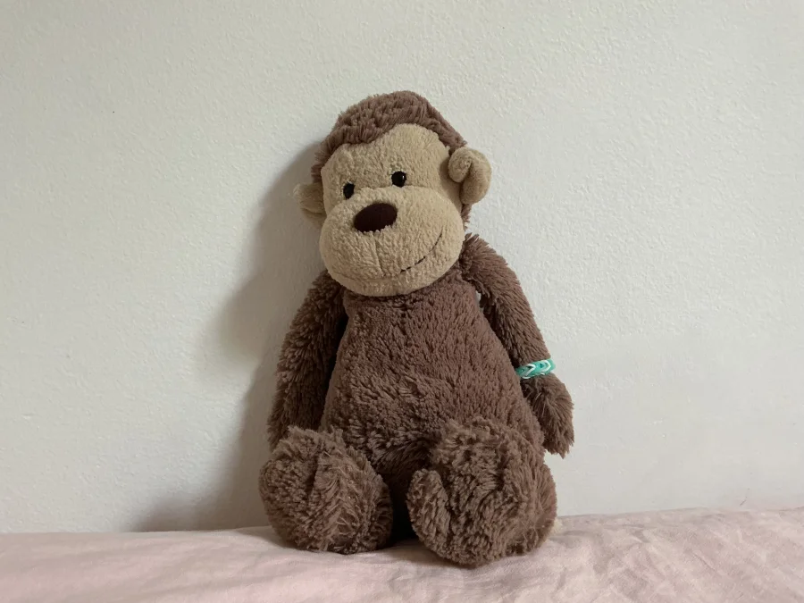 Front - Bashful Monkey - Medium photo by Immy_cat