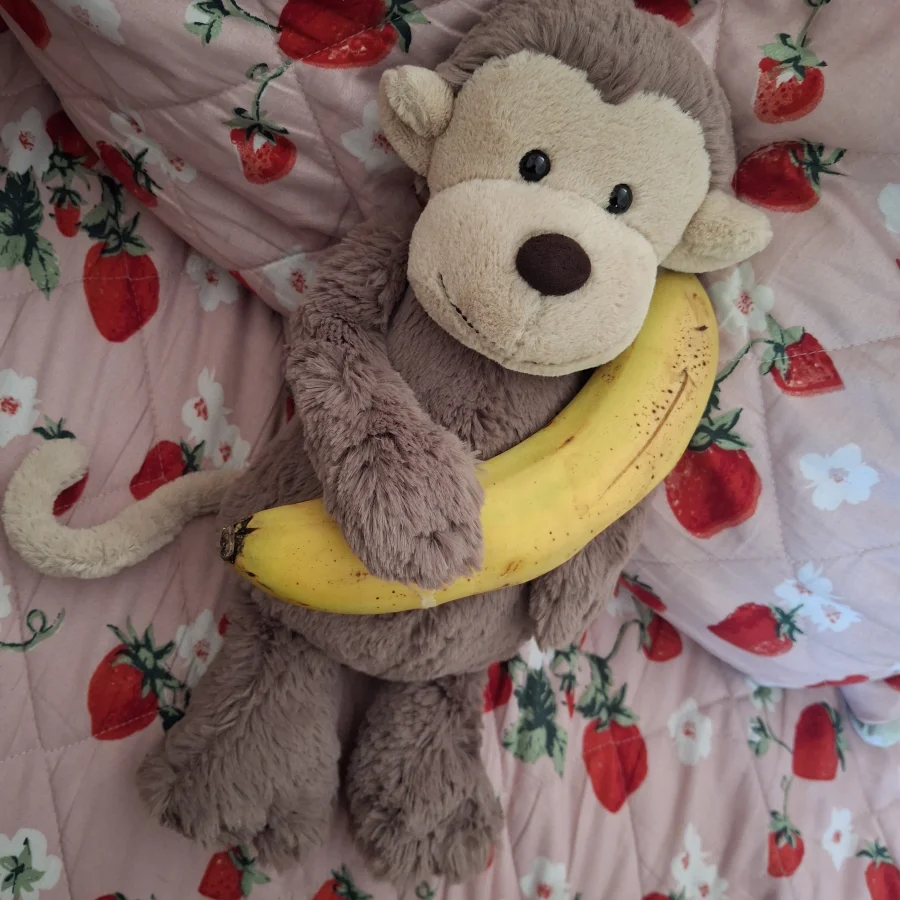 Lifestyle - Bashful Monkey - Medium photo by Branz_jellies