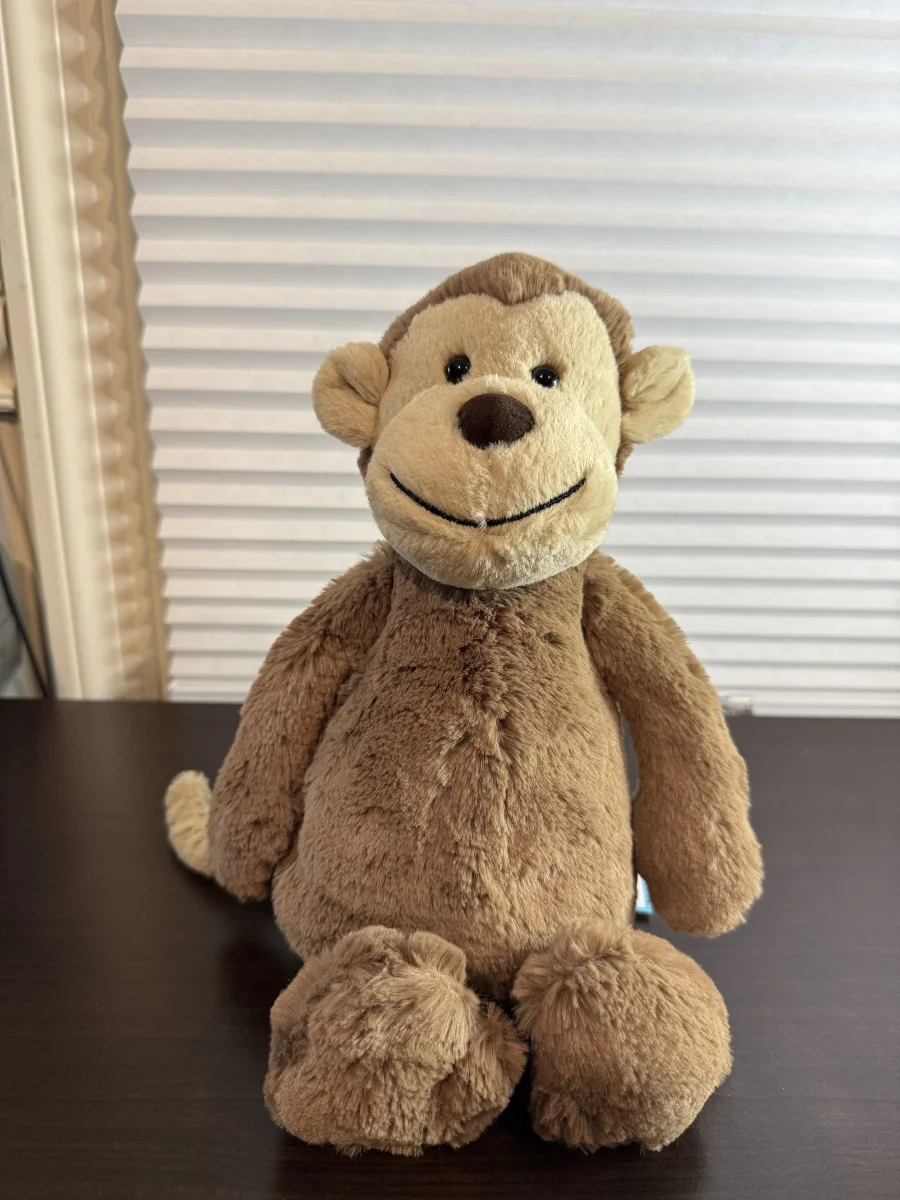 Front - Bashful Monkey - Medium photo by Bunnylove