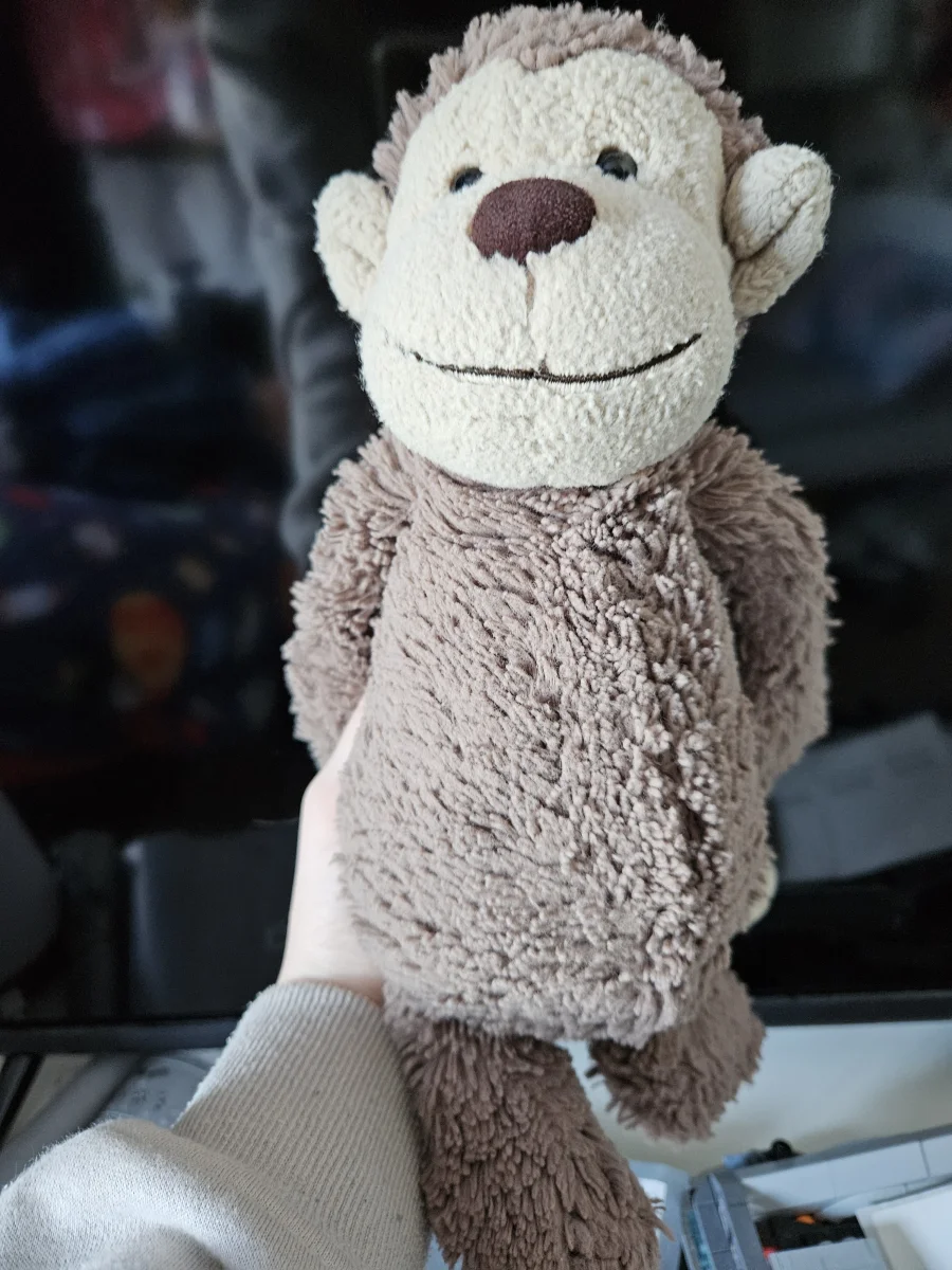 Front - Bashful Monkey - Medium photo by Skibidijellycat123