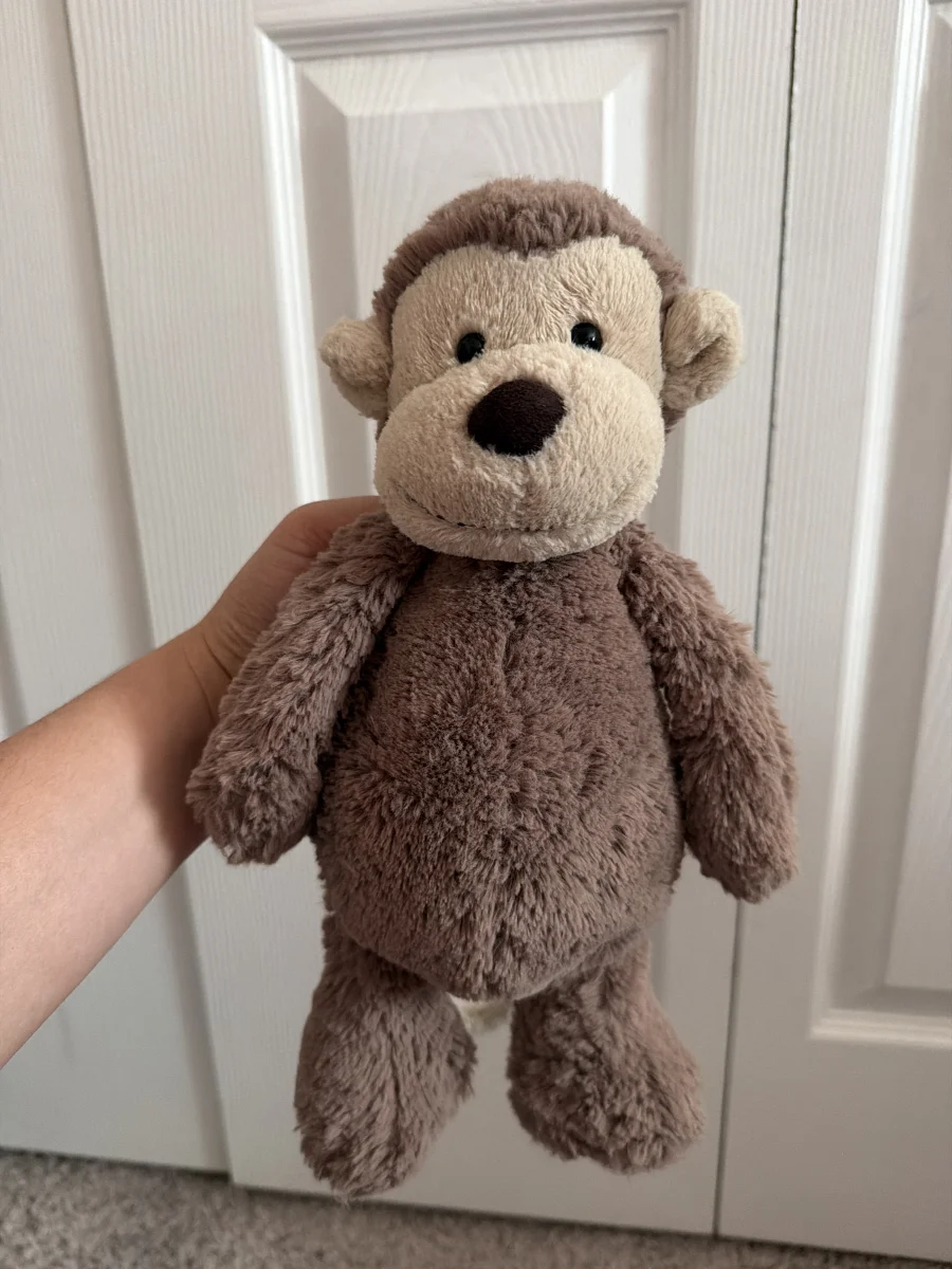 Front - Bashful Monkey - Medium photo by Anadina’sJellies