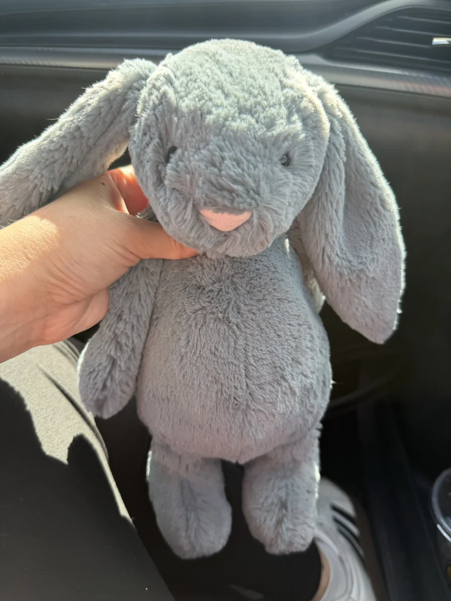 Front - Bashful Dusky Blue Bunny - Medium photo by snugglevault