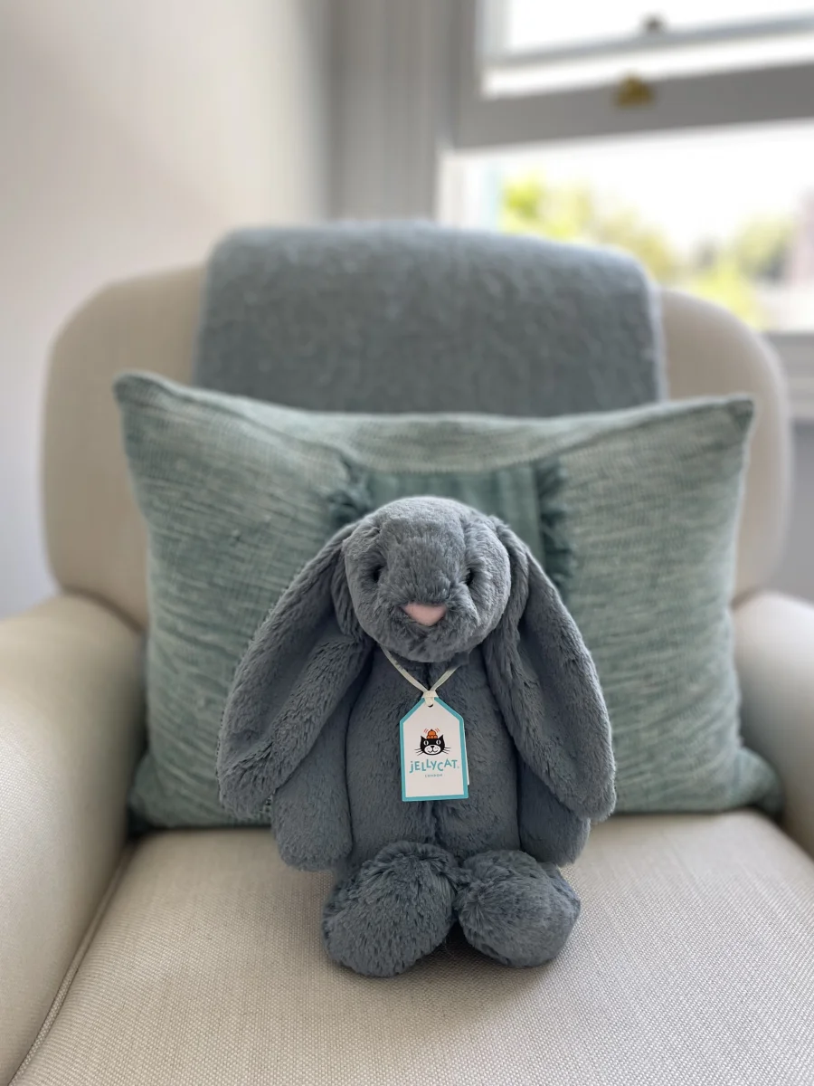 Front - Bashful Dusky Blue Bunny - Medium photo by Embracingbethan