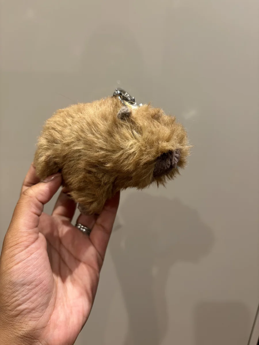 Front - Clyde Capybara Bag Charm photo by Seni113