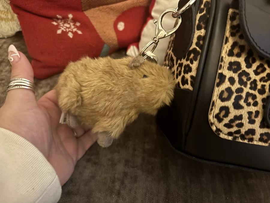 Side - Clyde Capybara Bag Charm photo by Slanelivhill