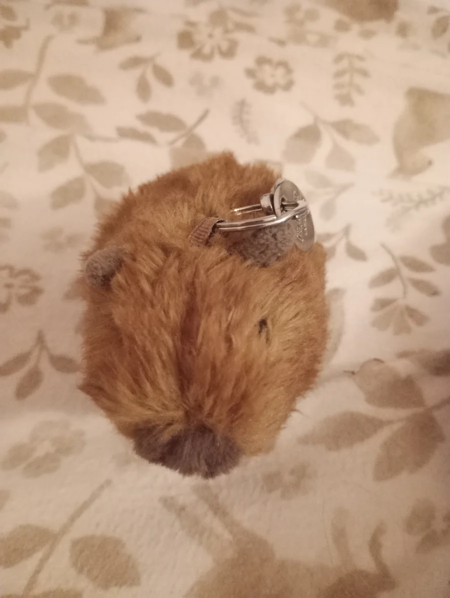 Front - Clyde Capybara Bag Charm photo by princessfudge24