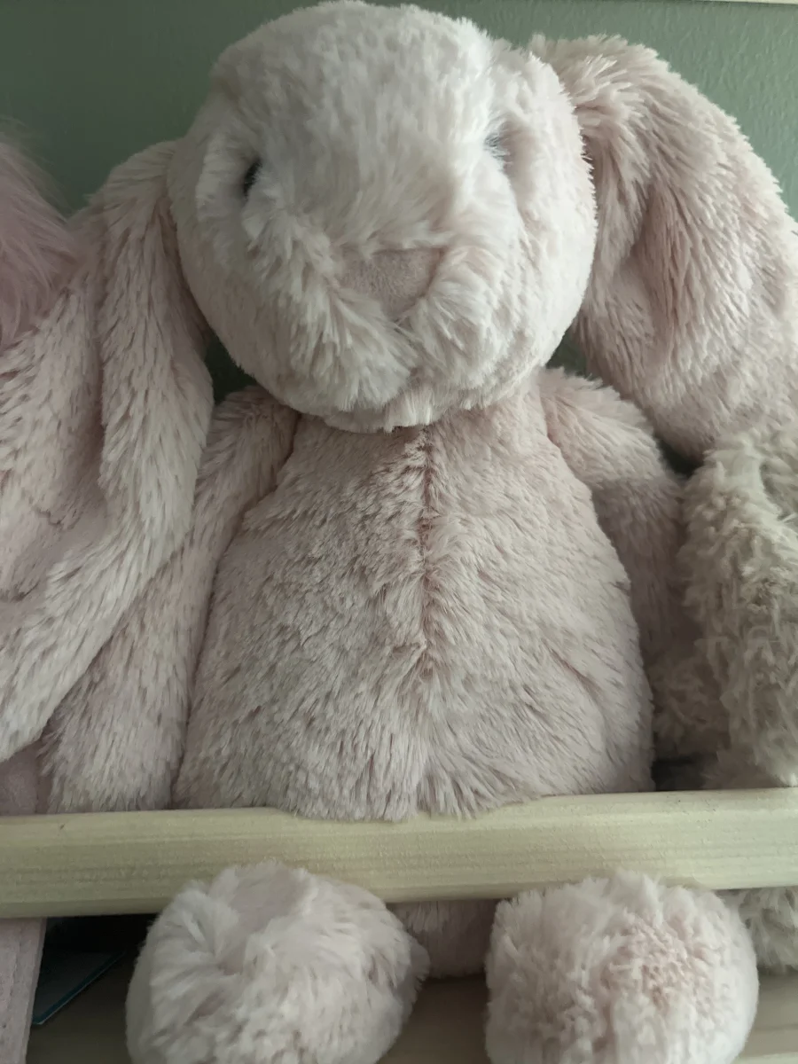 Front - Bashful Blush Bunny photo by Charls