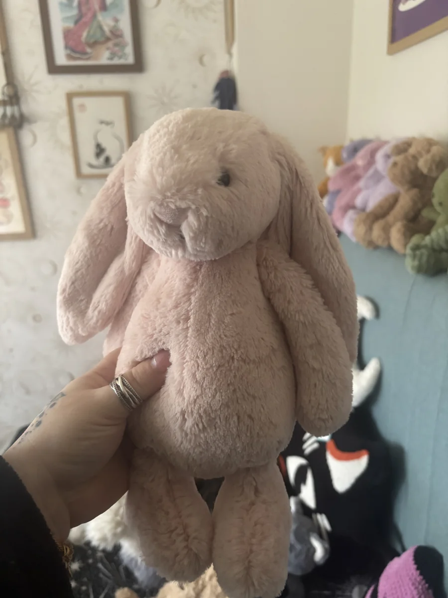Front - Bashful Blush Bunny photo by Slanelivhill