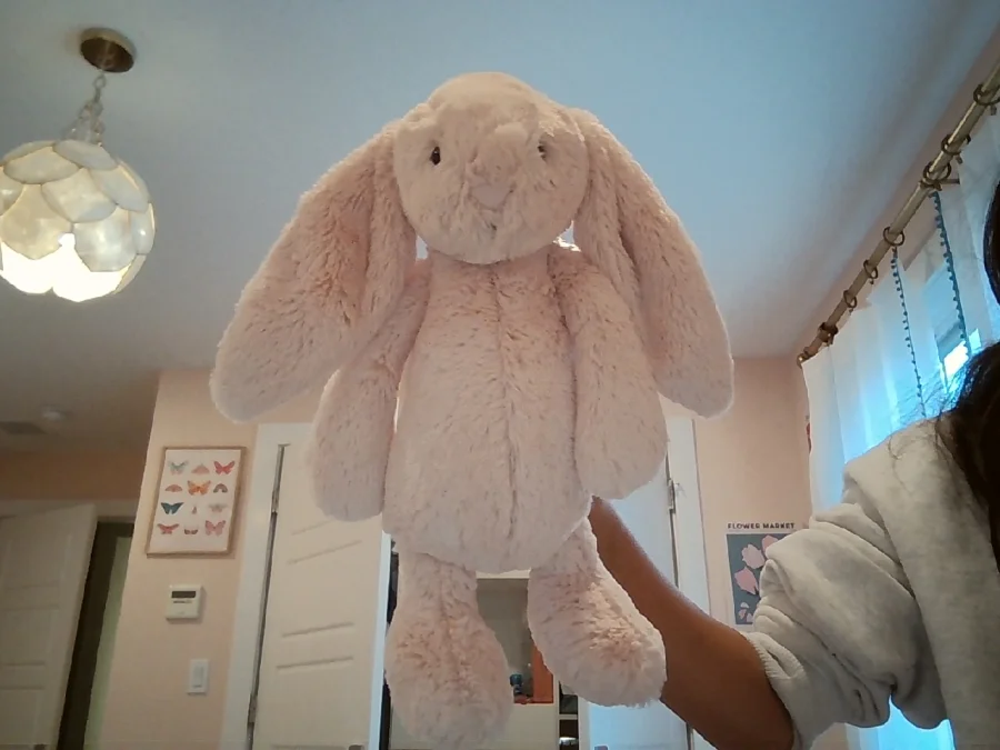 Front - Bashful Blush Bunny photo by m_i_m_i_11