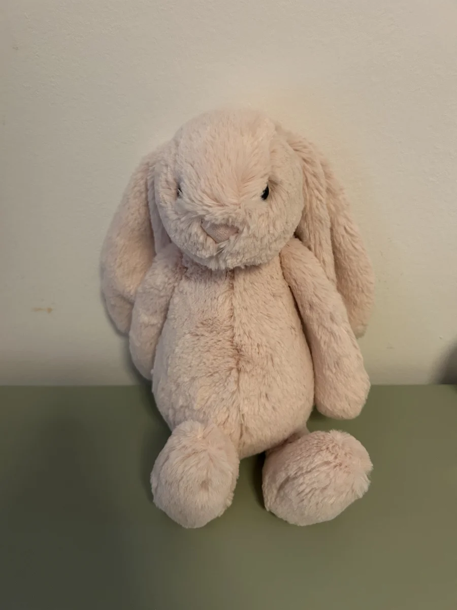 Front - Bashful Blush Bunny photo by Martineee