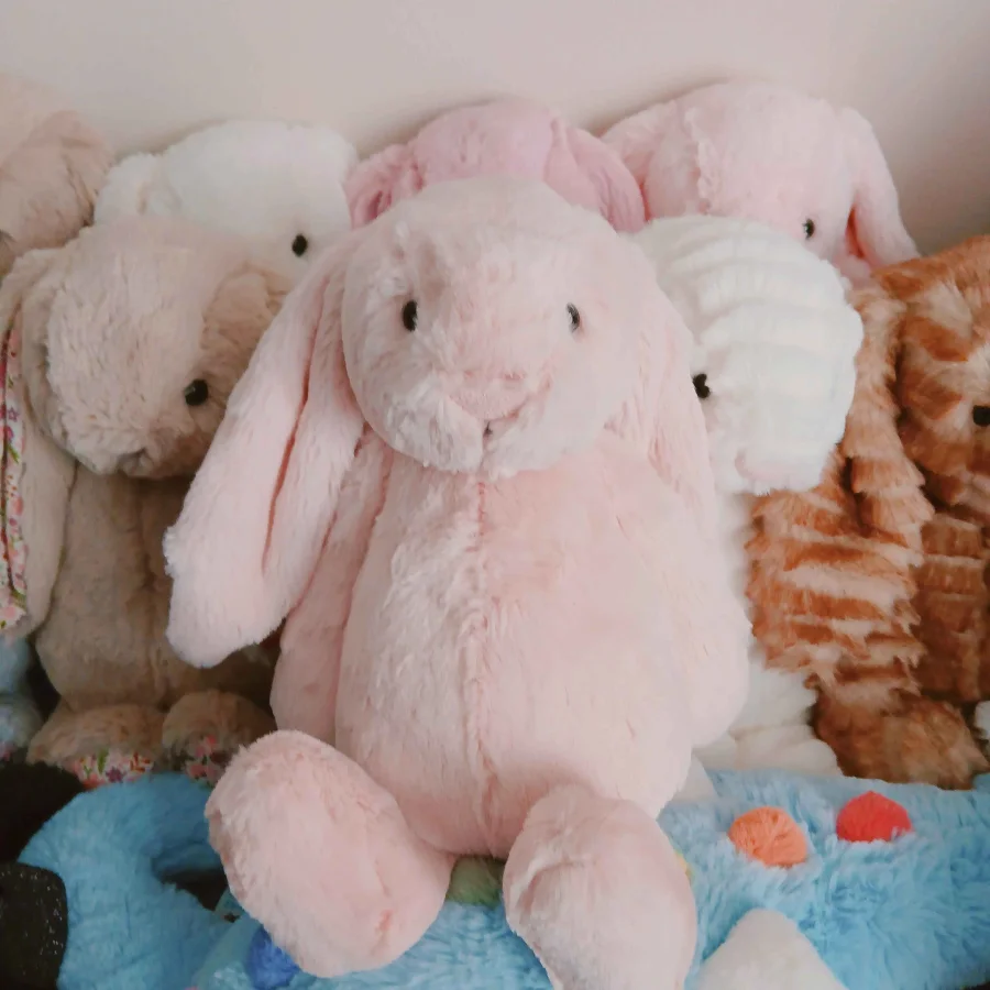 Front - Bashful Blush Bunny photo by MewMyx