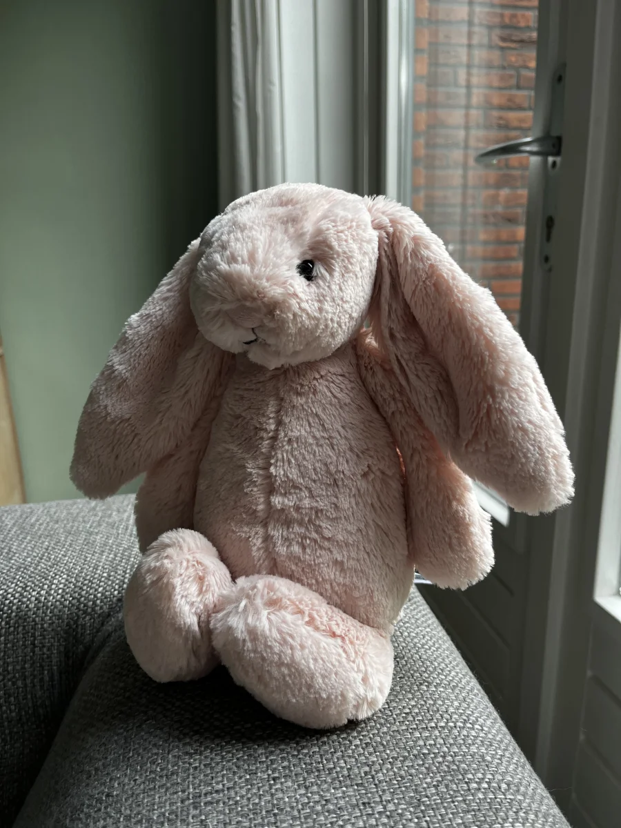 Side - Bashful Blush Bunny photo by Mila<3Jellycats!!