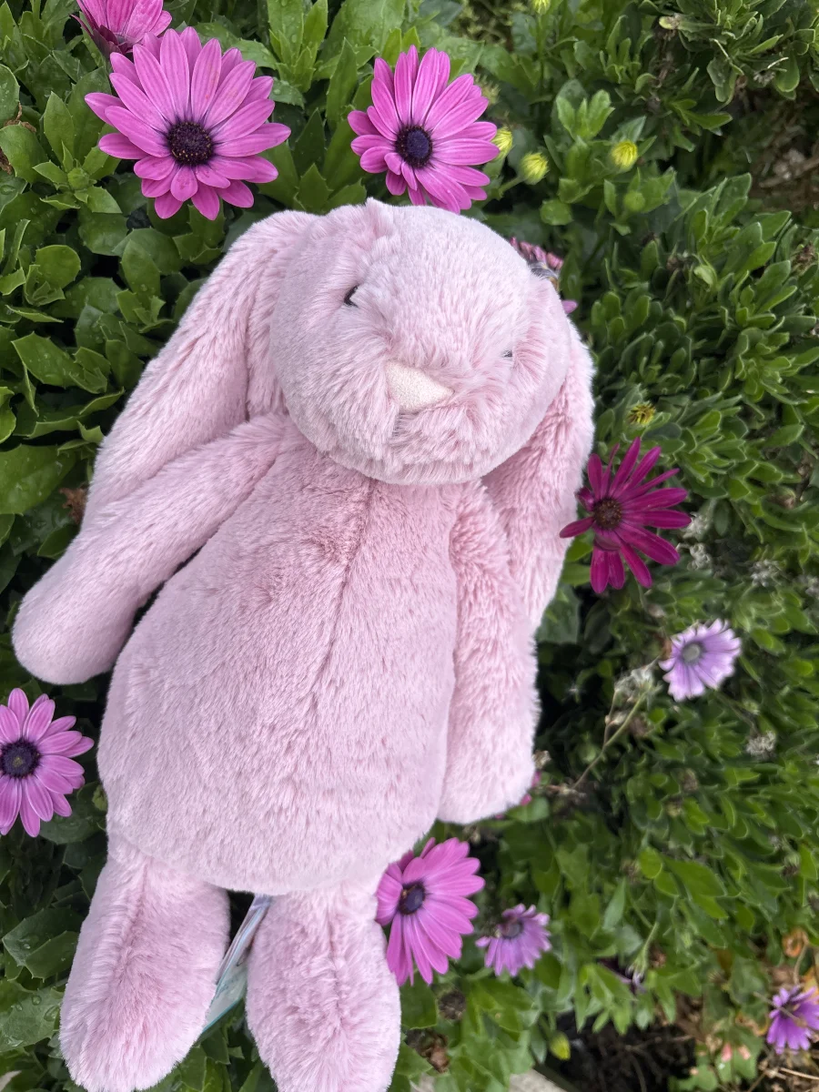 Lifestyle - Bashful Tulip Pink Bunny - Medium photo by thehappy_huddle