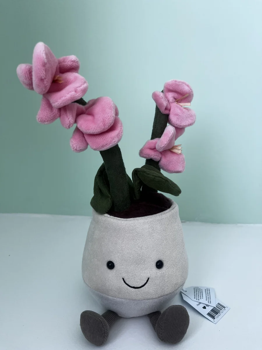 Front - Amuseables Pink Orchid photo by M1ZZYM00