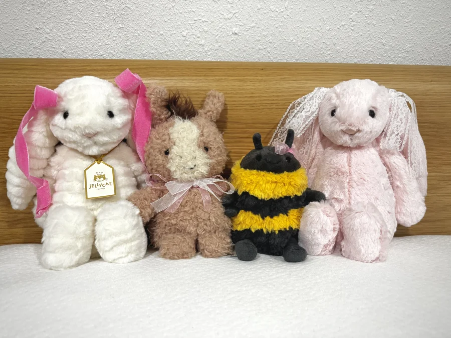 Front - Bashful Pink Bunny - Medium photo by Bree