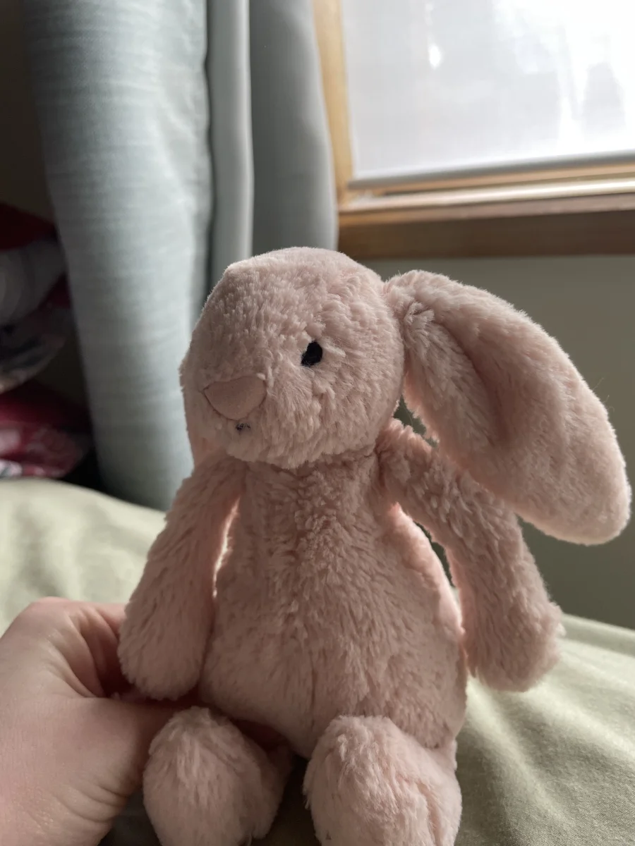 Front - Bashful Pink Bunny - Medium photo by Neve2011