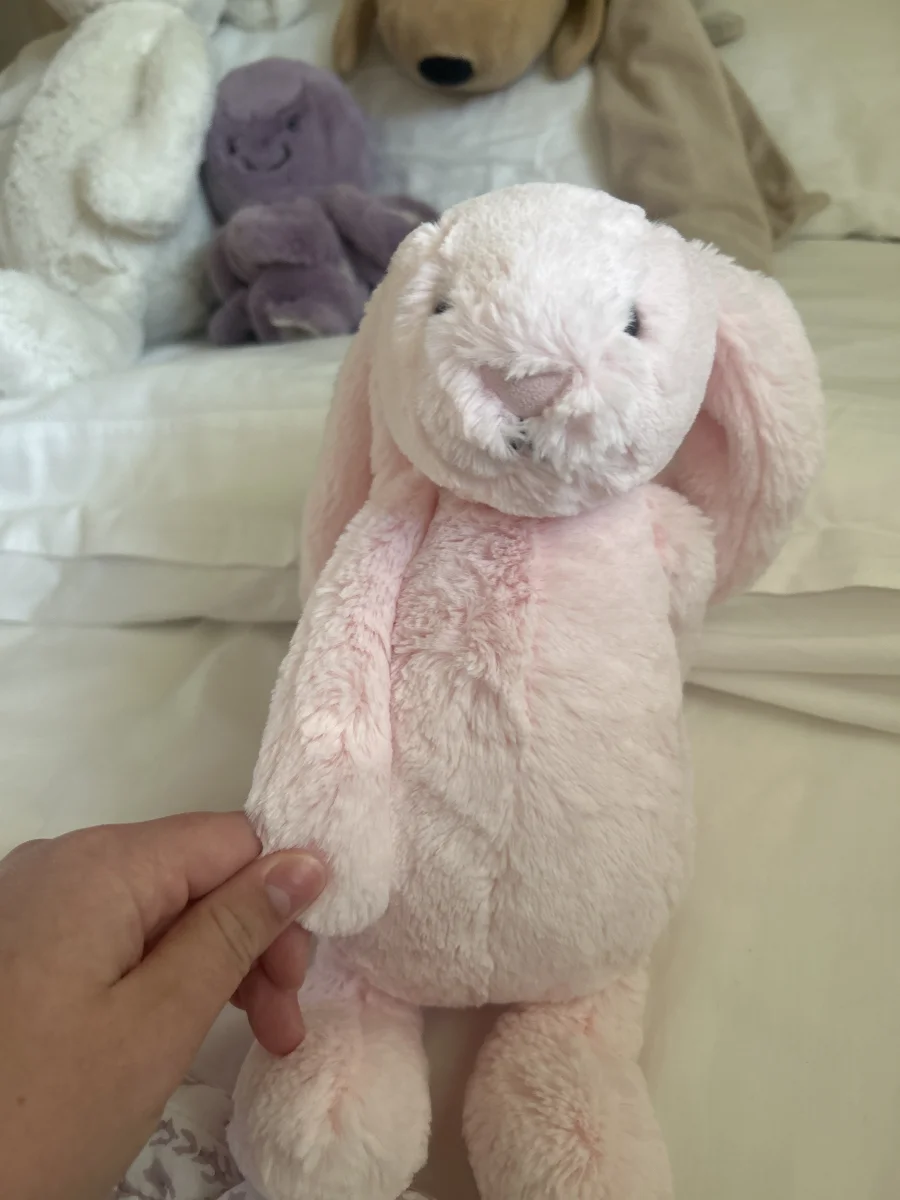 Front - Bashful Pink Bunny - Medium photo by Gwynn