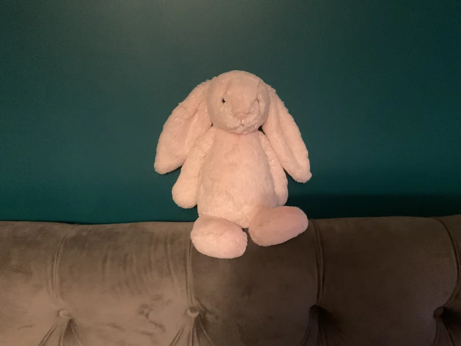 Front - Bashful Pink Bunny - Medium photo by JELLYCAT102