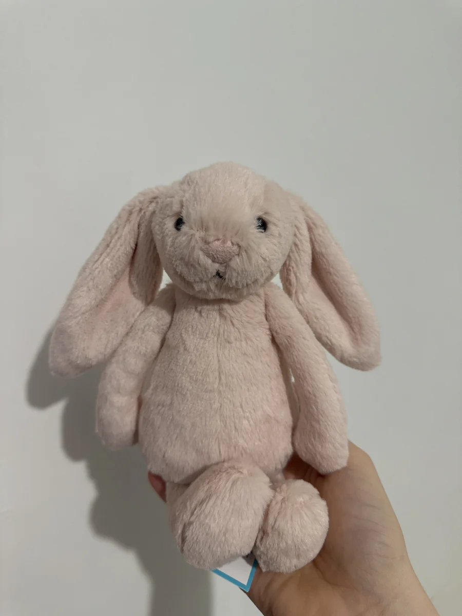 Front - Bashful Pink Bunny - Medium photo by fleuescentj
